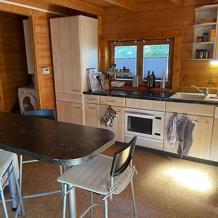 Ferienhaeuser An Den Orgelpfeifen Scheibenberg Esterno foto